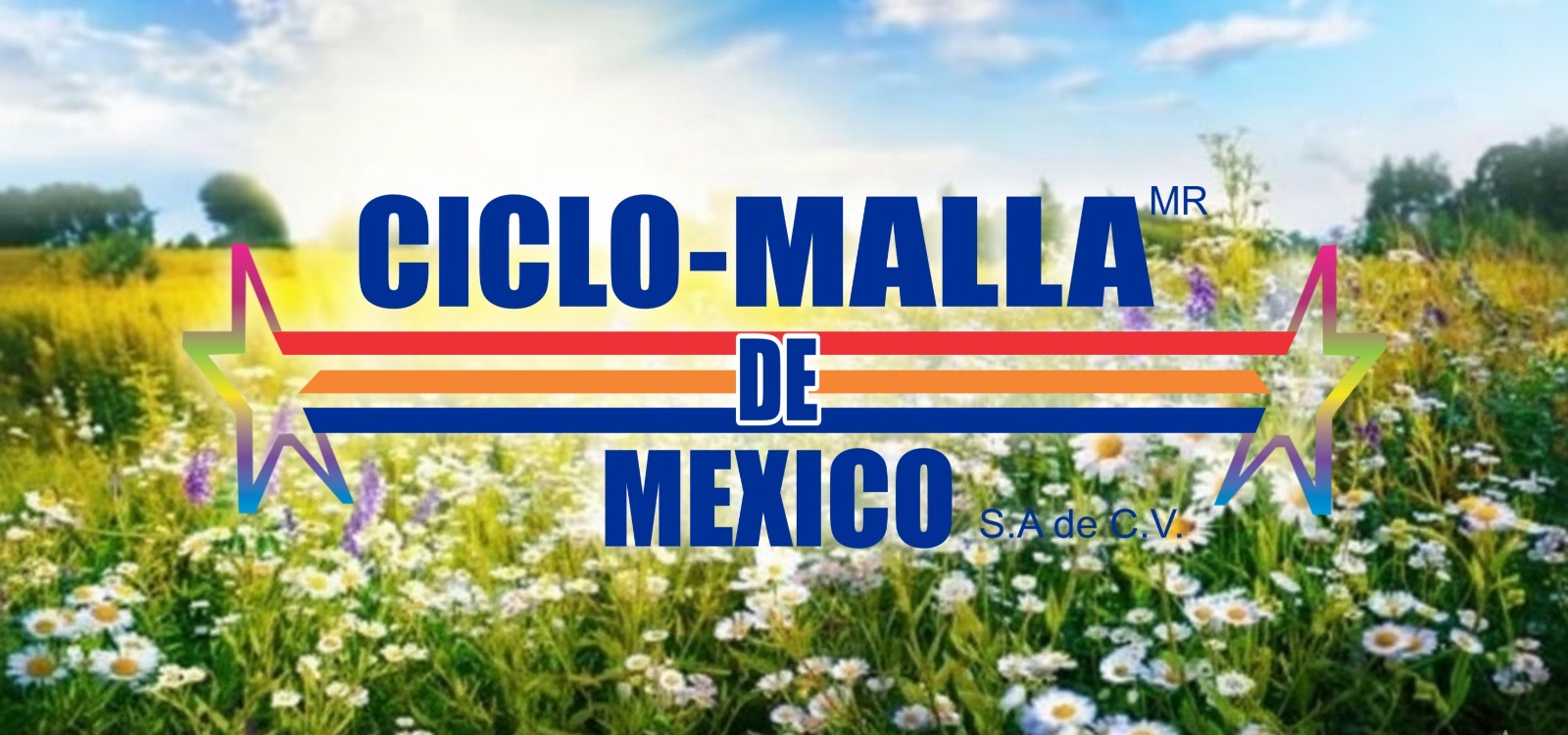 Ciclo Malla